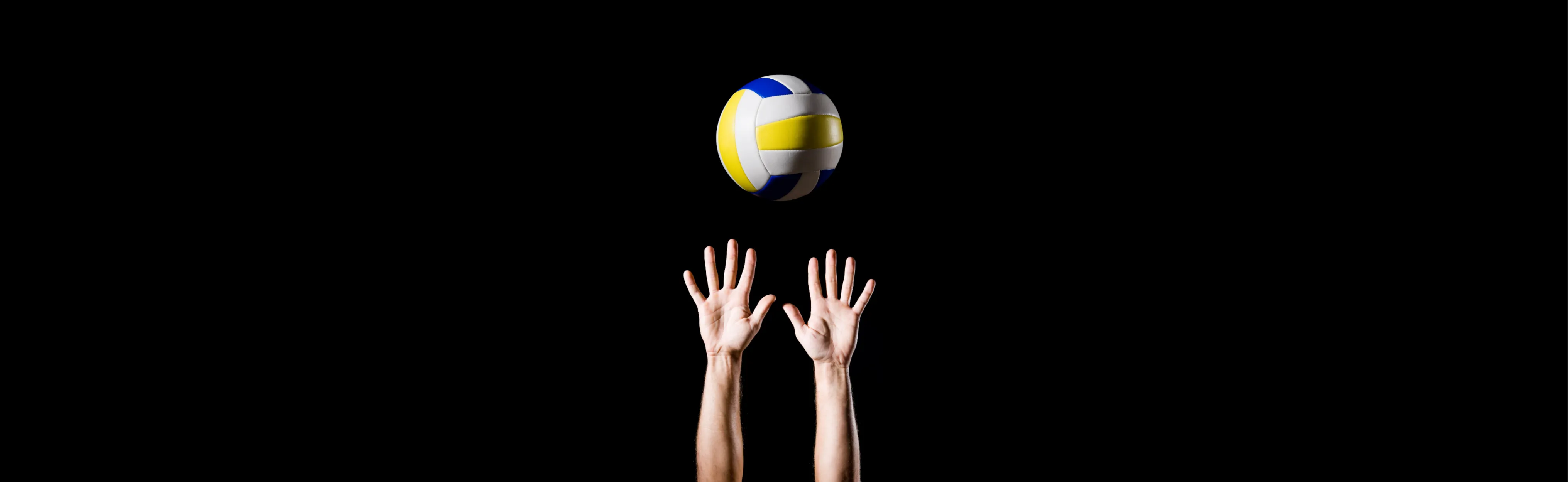 Nilüfer Belediyespor